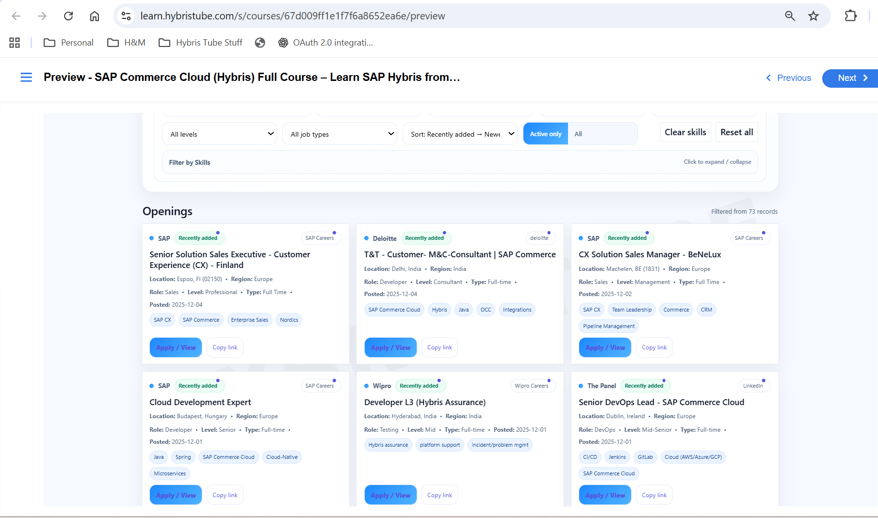 Hybris Tube live job openings preview